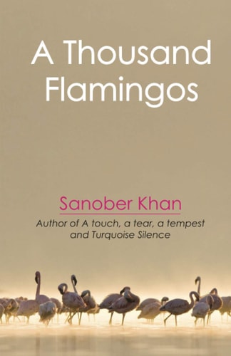 A Thousand Flamingos