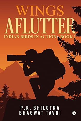 Wings Aflutter Indian Birds in Action: Book 1