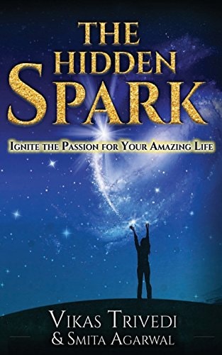 The Hidden Spark Ignite The Passion For Your Amazing Life