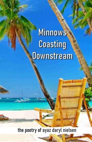 Minnows Coasting Downstream