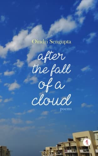 After the Fall of a Cloud Poems