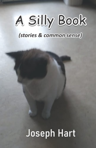 A Silly Book (stories & Common Sense)