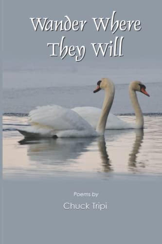 Wander Where They Will