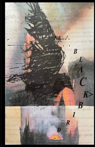BLACKBIRD 16