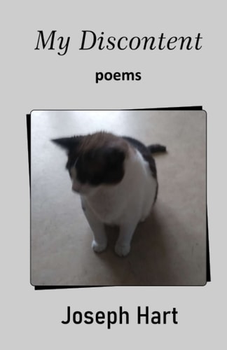 My Discontent