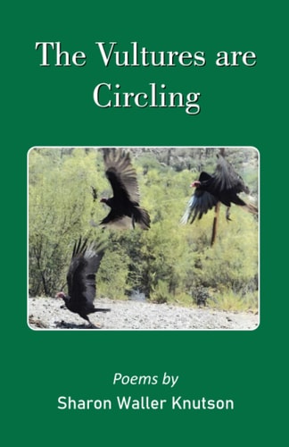 The Vultures are Circling