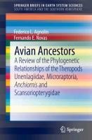 Avian Ancestors: A Review of the Phylogenetic Relationships of the Theropods Unenlagiidae, Microraptoria, Anchiornis and Scansoriopterygidae