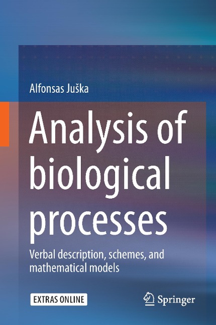 Analysis of biological processes: Verbal description, schemes, and mathematical models