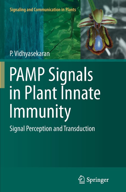 PAMP Signals in Plant Innate Immunity: Signal Perception and Transduction