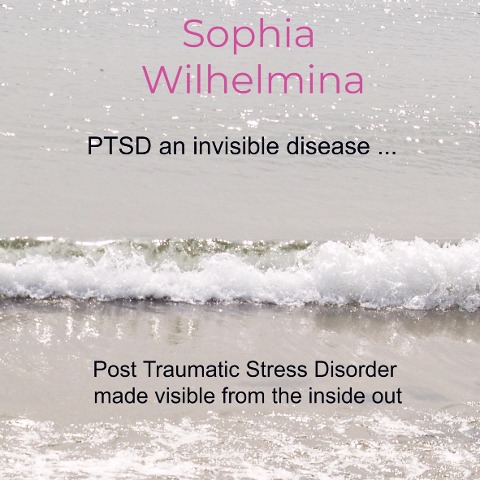 PTSD an invisible disease ...: Post Traumatic Stress Disorder made visible from the inside out