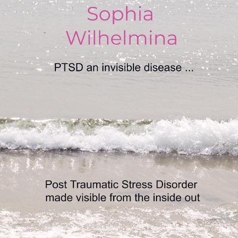 PTSD an invisible disease ...: Post Traumatic Stress Disorder made visible from the inside out