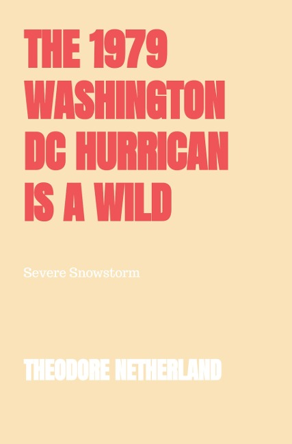 The 1979 Washington DC Hurrican is a Wild Climate Occurrence Producing with it Freezing Conditions Roaring Breeze and Reduced Clarity.: Severe Snowstorm