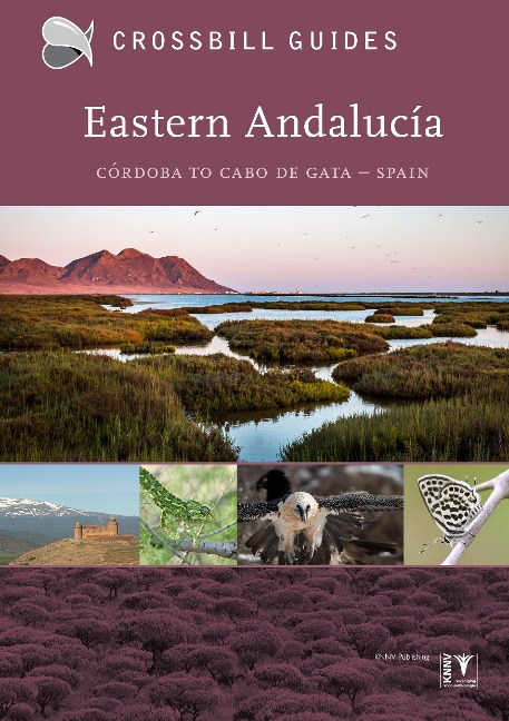 Eastern Andalucia: Cordoba to Cabo de Gata - Spain