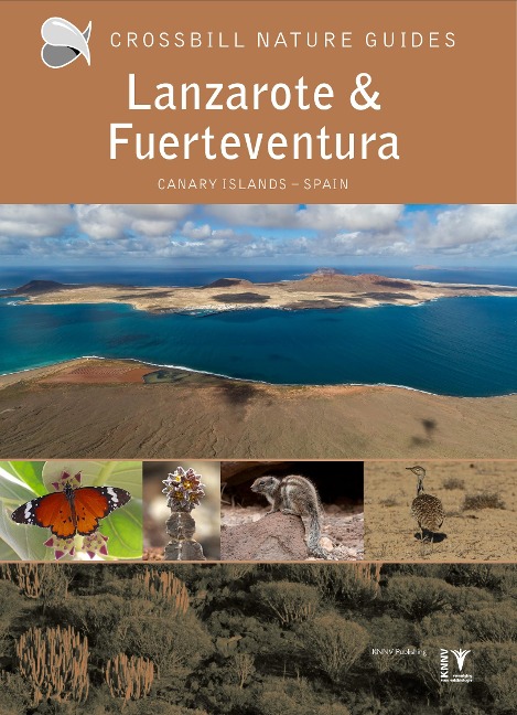 Lanzarote and Fuerteventura: Spanien