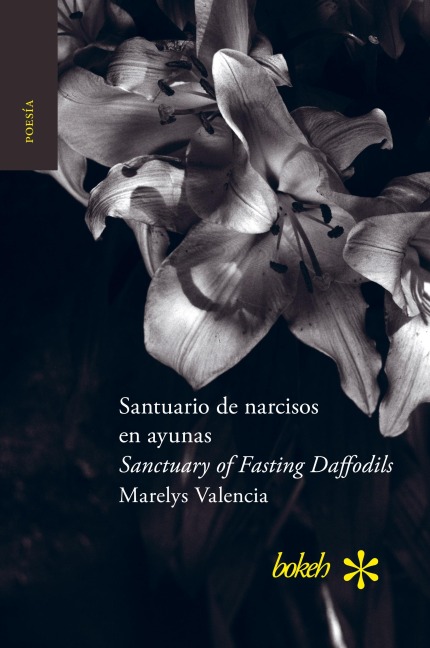Santuario de narcisos en ayunas / Sanctuary of Fasting Daffodils