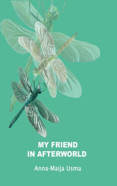 My friend in Afterworld: Experiences in the other reality