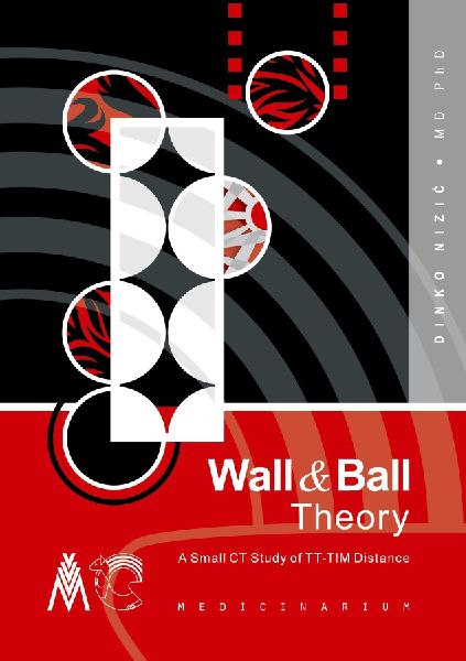 Wall & Ball Theory: A Small CT Study of TT-TIM Distance