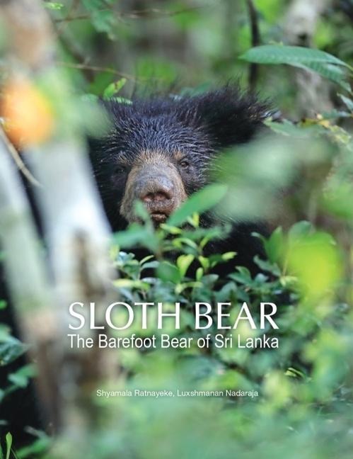 Sloth Bear: The Barefoot Bear of Sri Lanka