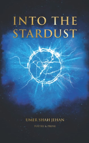 Into the Stardust