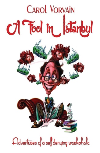A Fool in Istanbul Adventures of a Self Denying Workaholic