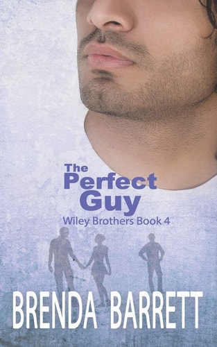 The Perfect Guy