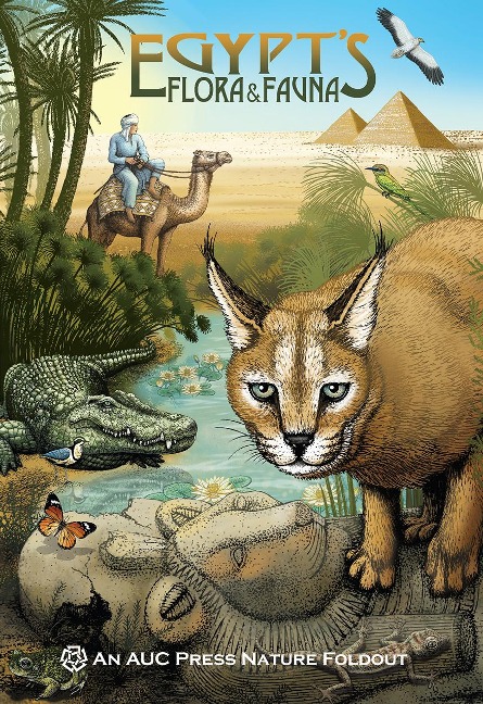 Egypts Flora and Fauna: An Auc Press Nature Foldout