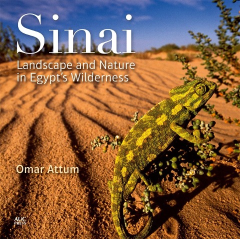 Sinai: Landscape and Nature in Egyptas Wilderness