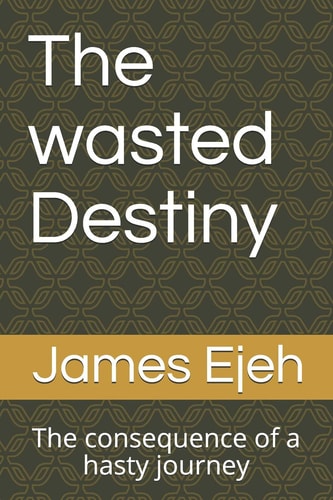 The Wasted Destiny The Consequence of a Hasty Journey