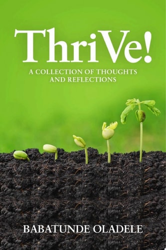 ThriVe: A Collection of Thoughts and Reflections