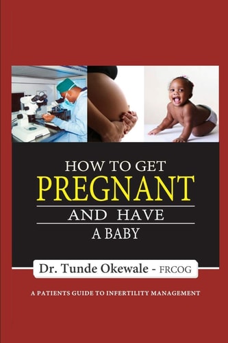 How to Get Pregnant and Have a Baby A Patient's Guide to Infertility Management