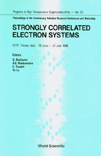 STRONGLY CORRELATED ELECTRON SYSTEM(V23)