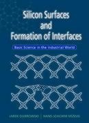 SILICON SURFACES & FORMATION OF...