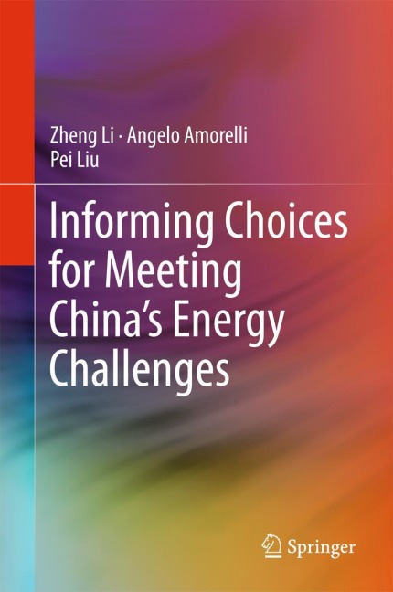 Informing Choices for Meeting Chinas Energy Challenges
