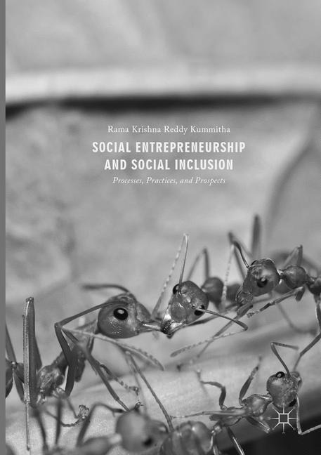 Social Entrepreneurship and Social Inclusion: Processes, Practices, and Prospects