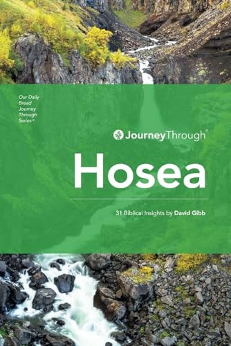 Journey Through Hosea 31 Biblical Insights by David Gibb