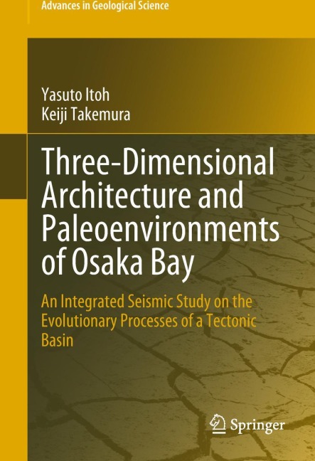 Three-Dimensional Architecture and Paleoenvironments of Osaka Bay: An Integrated Seismic Study on the Evolutionary Processes of a Tectonic Basin