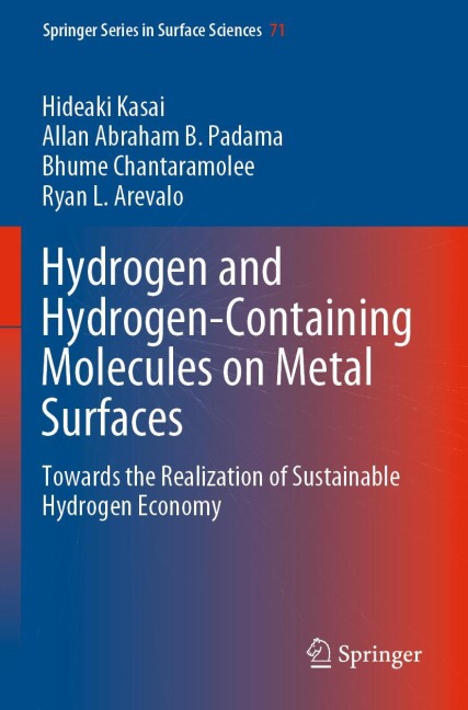 Hydrogen and Hydrogen-Containing Molecules on Metal Surfaces: Towards the Realization of Sustainable Hydrogen Economy