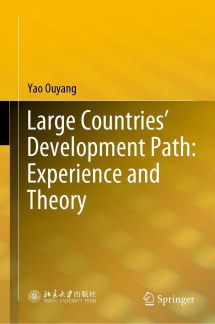 Large Countries Development Path: Experience and Theory