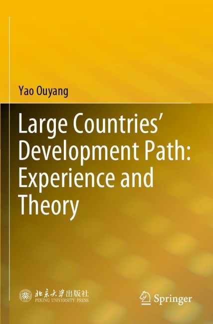 Large Countries Development Path: Experience and Theory