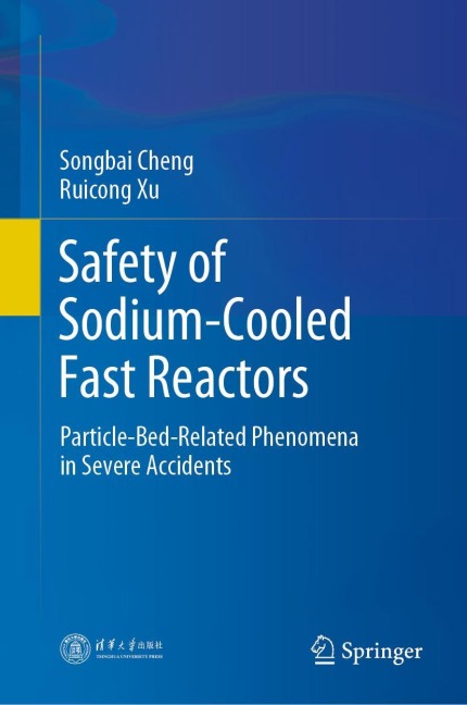 Safety of Sodium-Cooled Fast Reactors: Particle-Bed-Related Phenomena in Severe Accidents