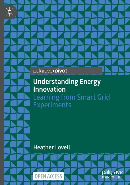 Understanding Energy Innovation: Learning from Smart Grid Experiments