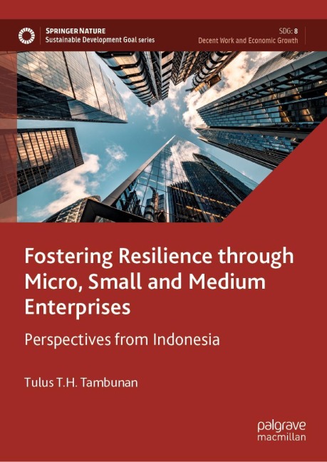 Fostering Resilience through Micro, Small and Medium Enterprises: Perspectives from Indonesia