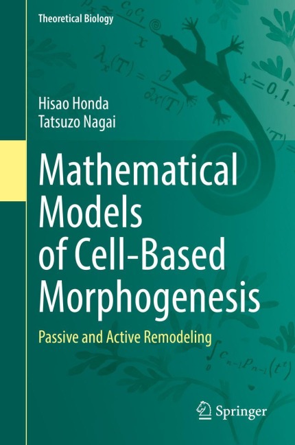 Mathematical Models of Cell-Based Morphogenesis: Passive and Active Remodeling