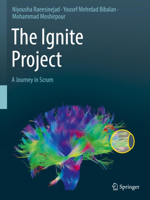 The Ignite Project: A Journey in Scrum