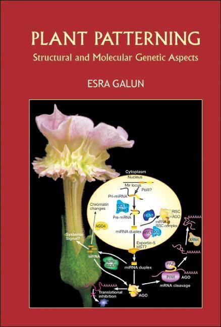 Plant Patterning: Structural and Molecular Genetic Aspects