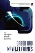 GABOR & WAVELET FRAMES (V10)