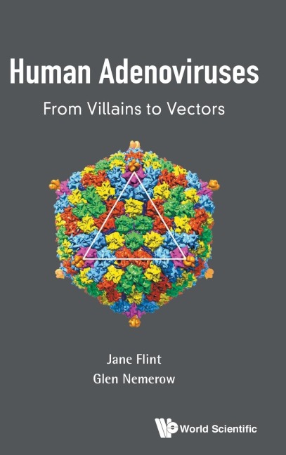 HUMAN ADENOVIRUSES: FROM VILLAINS TO VECTORS