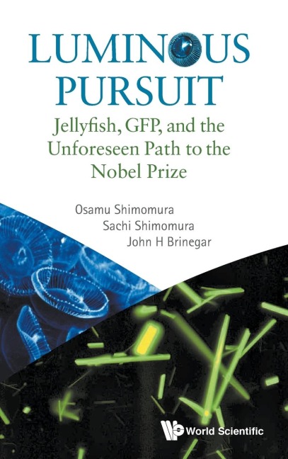 LUMINOUS PURSUIT