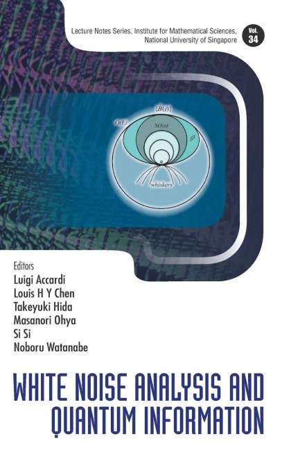 WHITE NOISE ANALYSIS AND QUANTUM INFORMATION