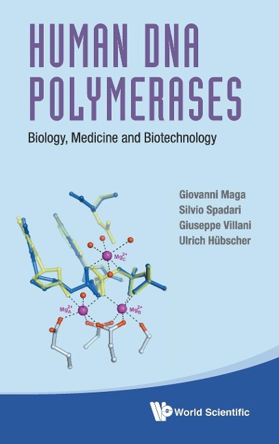 HUMAN DNA POLYMERASES